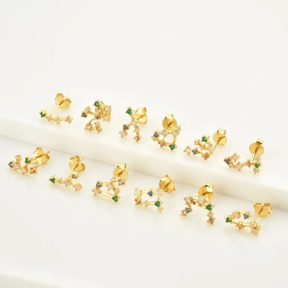 Zodiac Horoscope  Stud Earrings