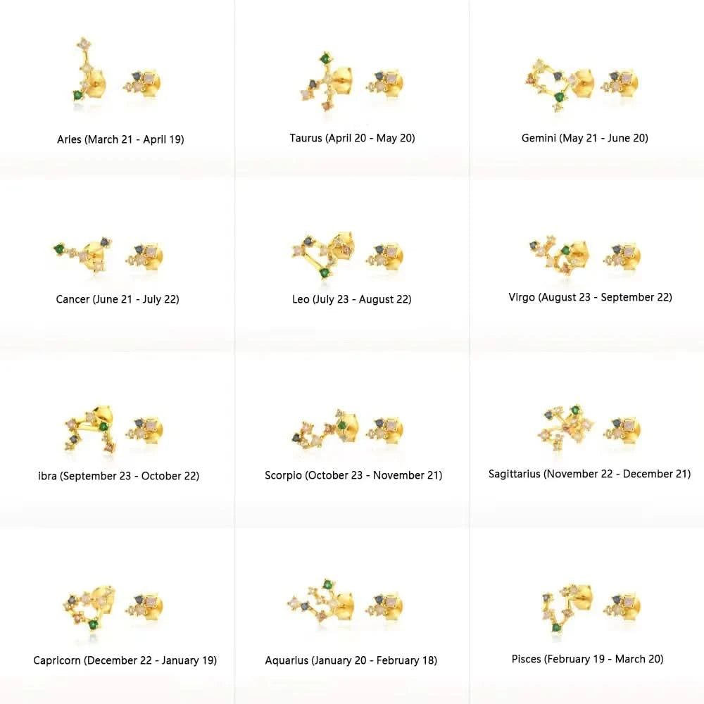 Zodiac Horoscope  Stud Earrings