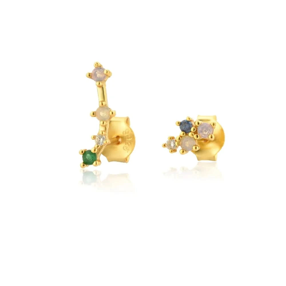 Birth Constellation Stud Earrings