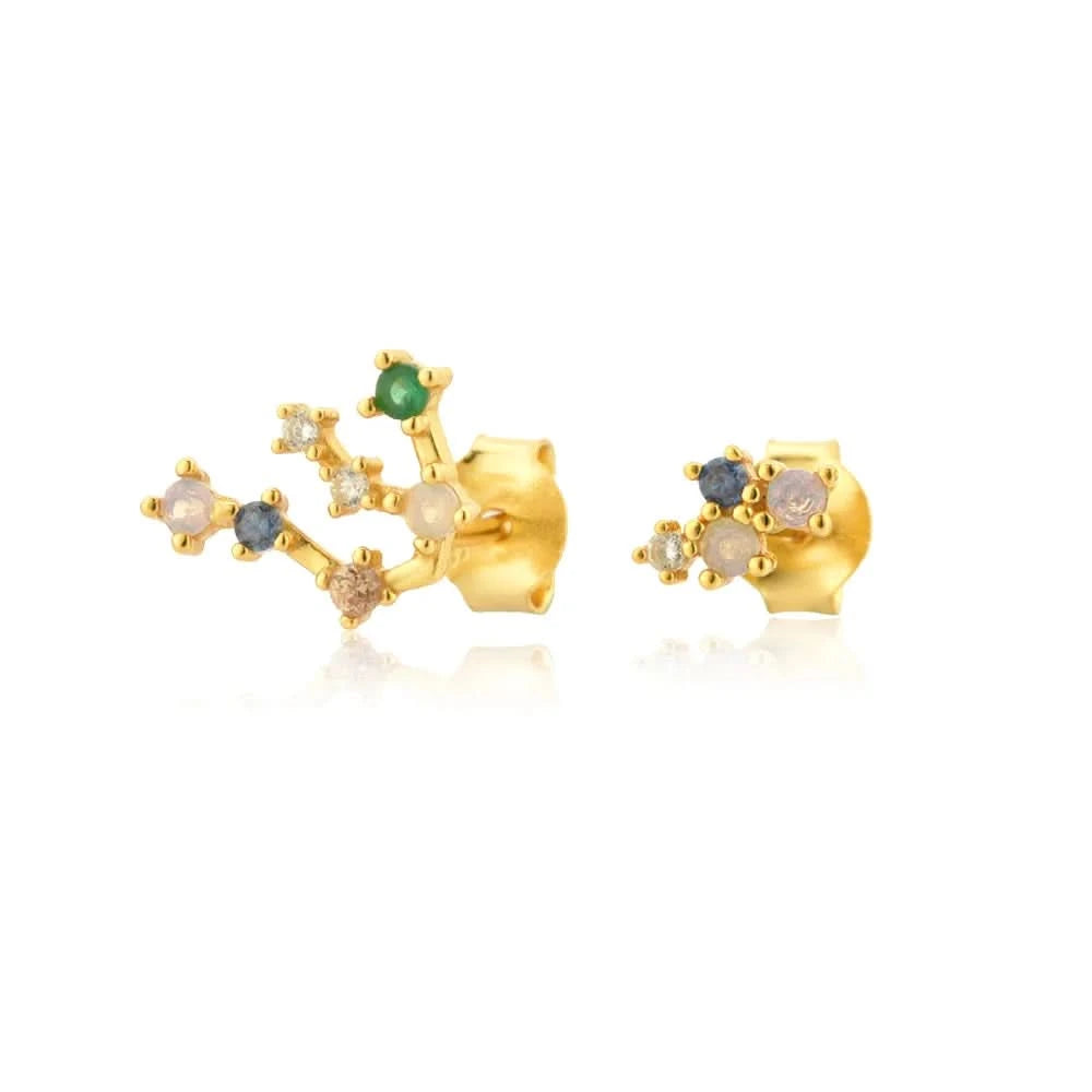 Zodiac Horoscope  Stud Earrings- Aquarius