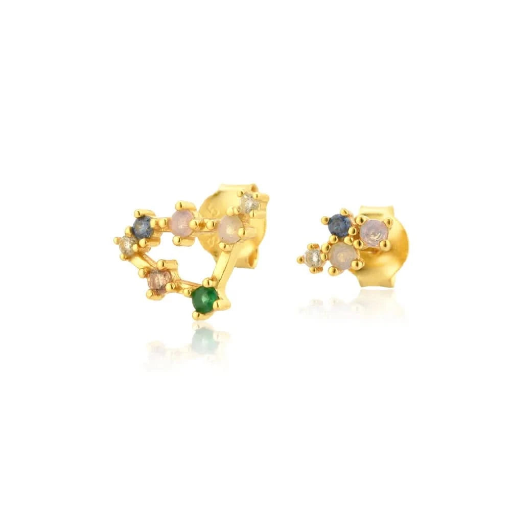 Zodiac Horoscope  Stud Earrings- Capricorn