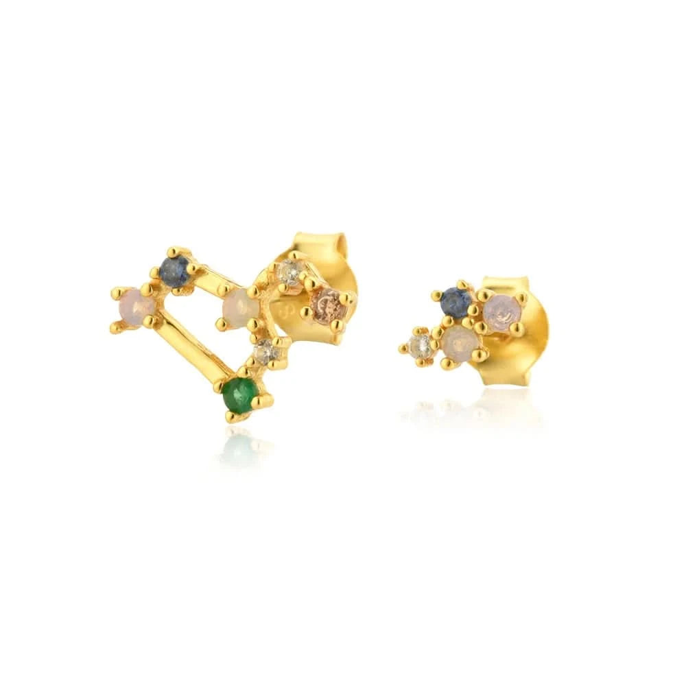 Zodiac Horoscope  Stud Earrings- Leo