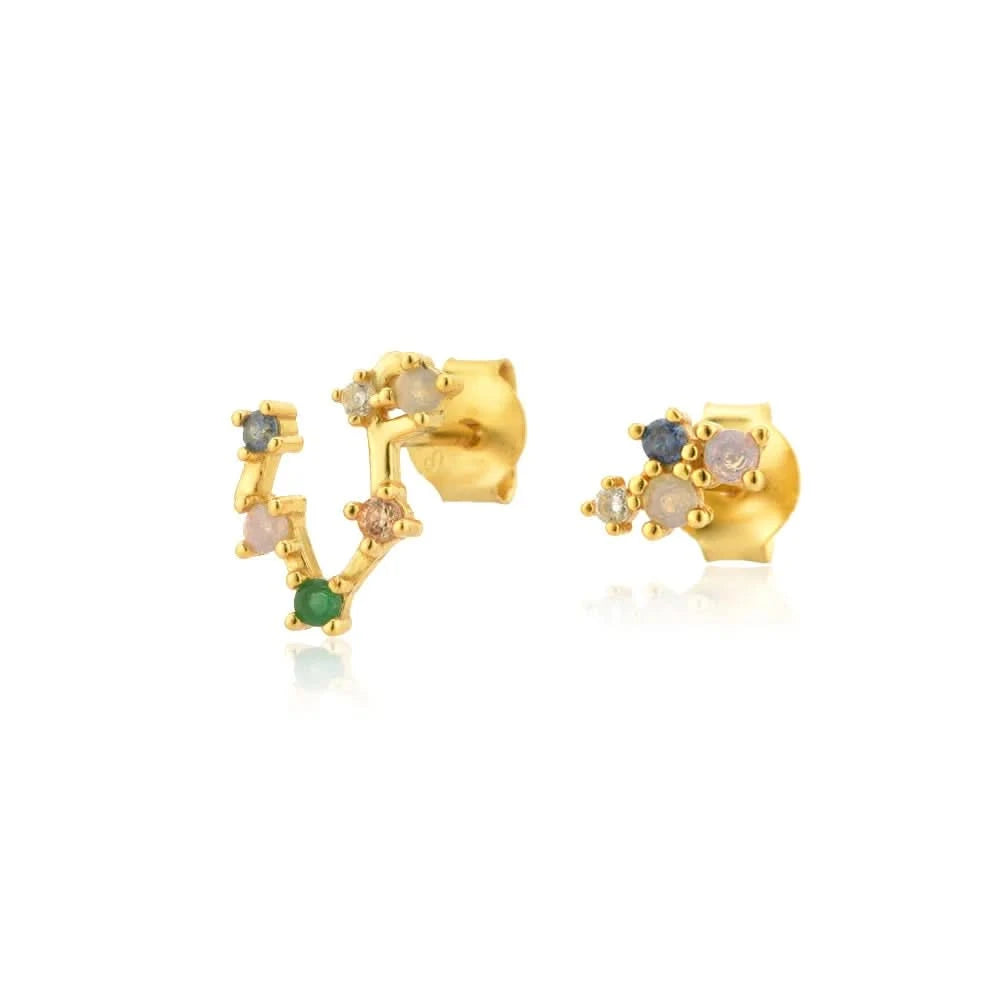 Zodiac Horoscope  Stud Earrings- Pisces