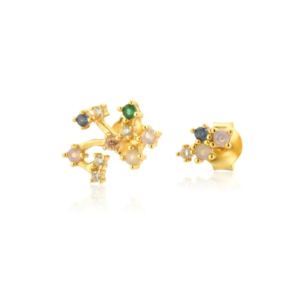 Zodiac Horoscope  Stud Earrings- Sagittarius