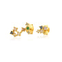 Zodiac Horoscope  Stud Earrings- Scorpio