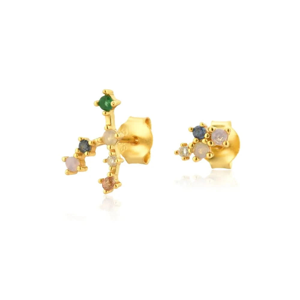 Zodiac Horoscope  Stud Earrings- Taurus
